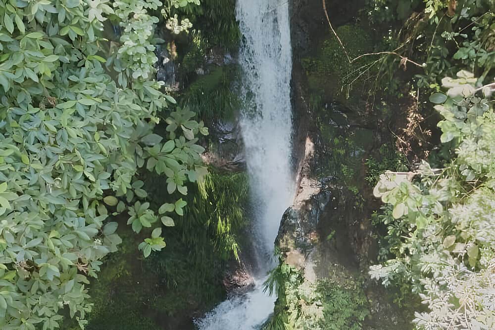 5 Day Couple's Retreat With Psilocybin, Colombia 3