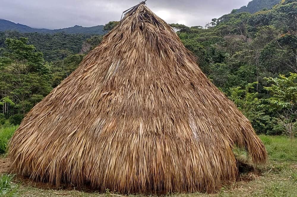 5 Day Couple's Retreat With Psilocybin, Colombia 8