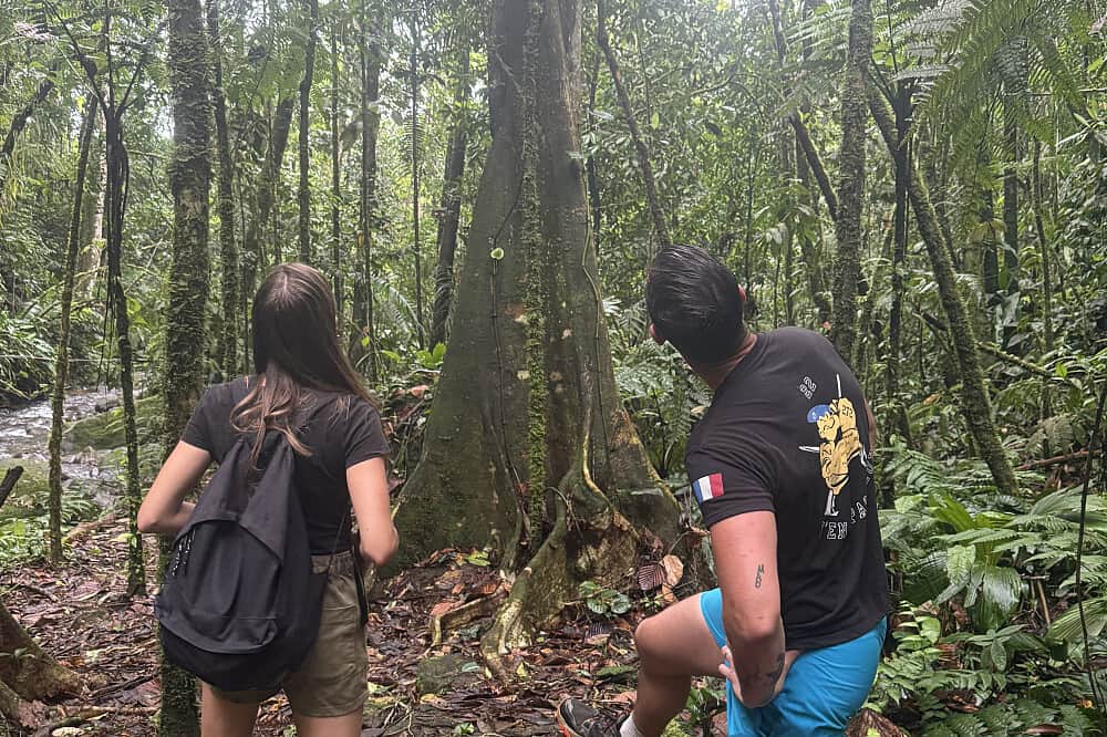 5 Day Couple's Retreat With Psilocybin, Colombia 7