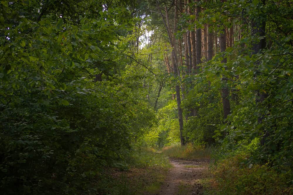 4 Day Rest & Reconnect:Silence, Landscape & Presence, Canada 1