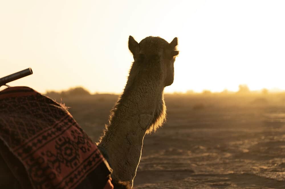 4 Day Desert & Yoga Retreat From Marrakesh To M'Hamid, Morocco 4