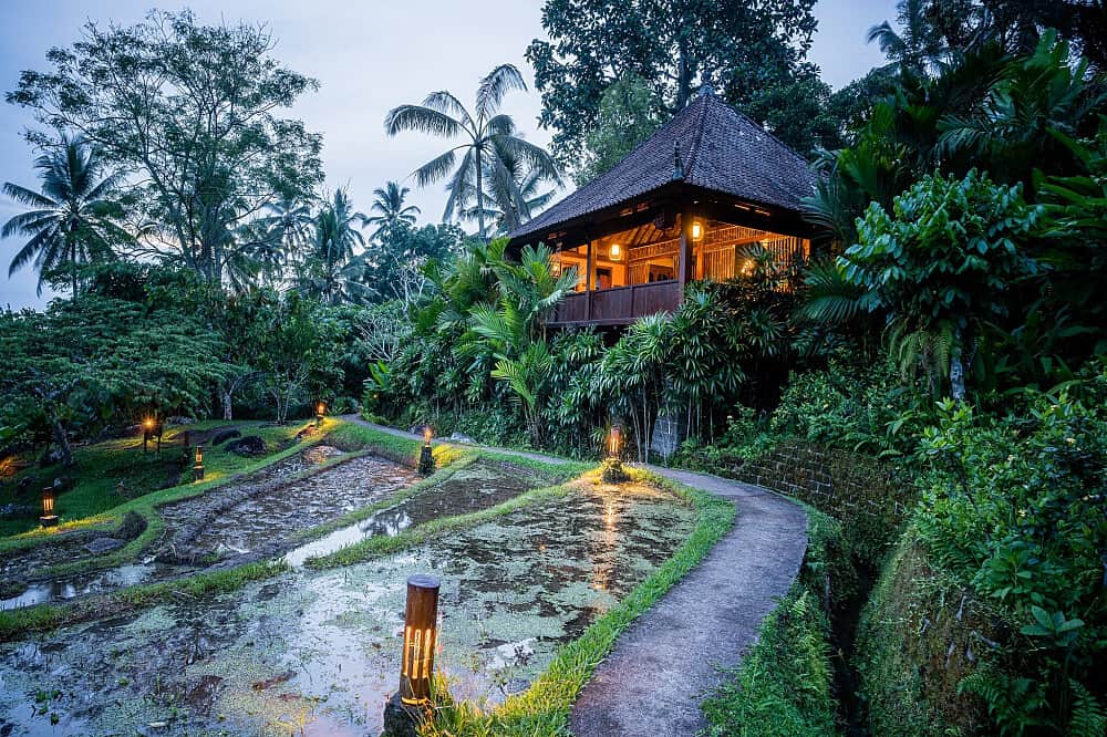 7 Day Sati Sadhana: The Practice of Mindful Awareness in Bali 4