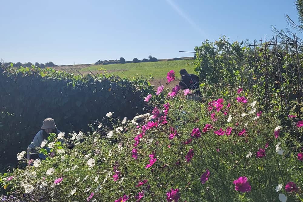 3 Day Weekend Wellness Camp at Lovebrook, UK 1