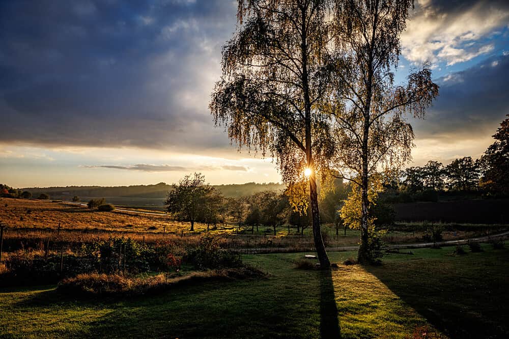 7 Day Enjoy The Stillness of Swedish Nature: A Solo Retreat 2