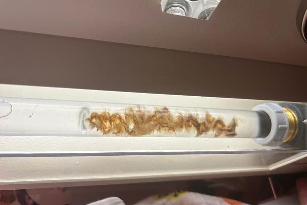 7 Day Holistic Detoxification Private Retreat in Costa Rica 7