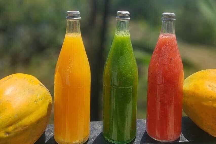 7 Day Holistic Detoxification Private Retreat in Costa Rica 3