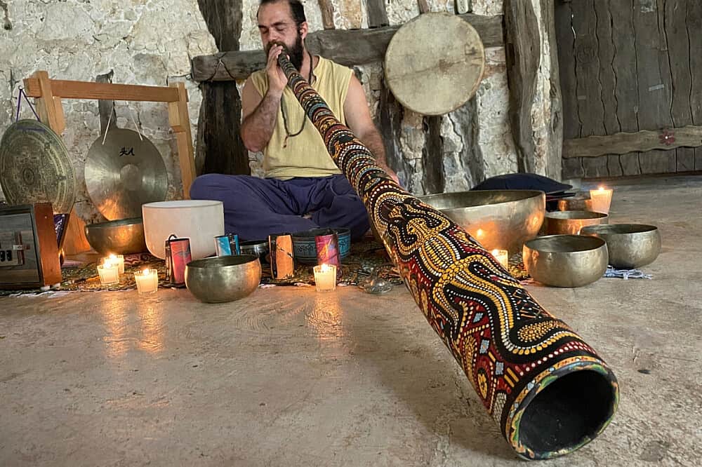 2 Day Bufo Alvarius & DMT Retreat in Playa del Carmen, Mexico 5