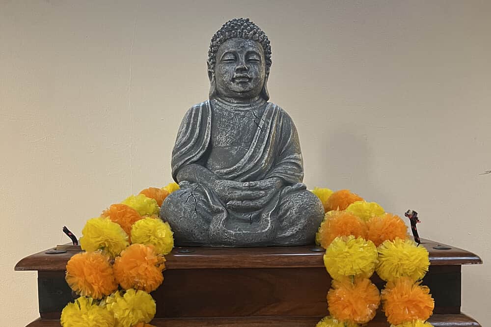 14 Day 200 HR Yoga Teacher Training in Dartmouth, UK 2