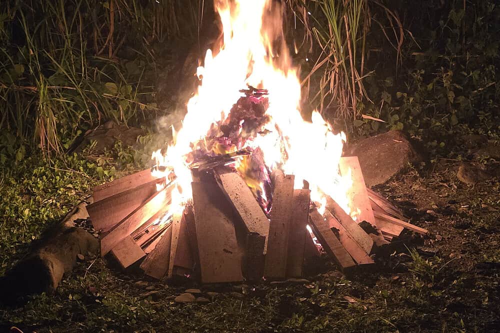 5 Day 300 HR YTT Online & Elements Wellness Retreat, Costa Rica 6