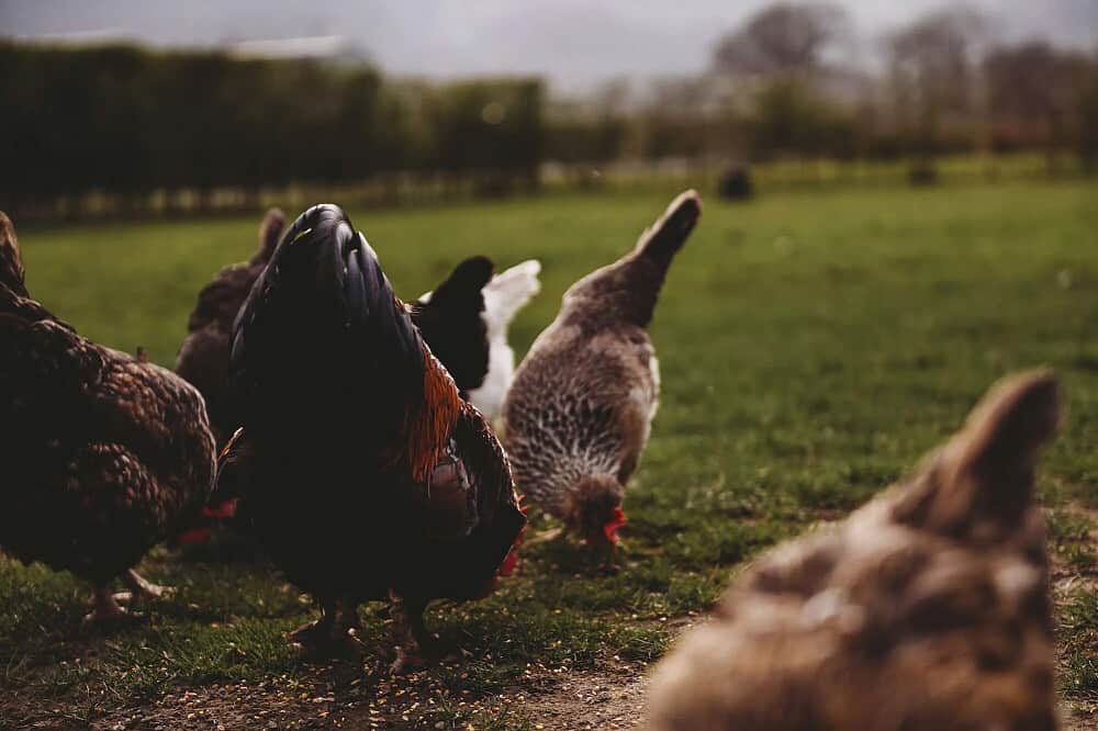 3 Day Flow and Balance Retreat: Wellness Weekend in Wales, UK 5