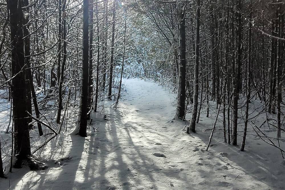 3 Day Winter Stillness Rebellion Mindfulness Immersion, Canada