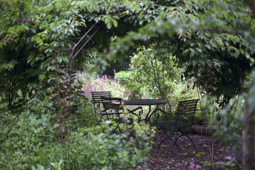 Coming Home Center 5