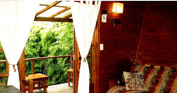 Naturalistas Aventura 7