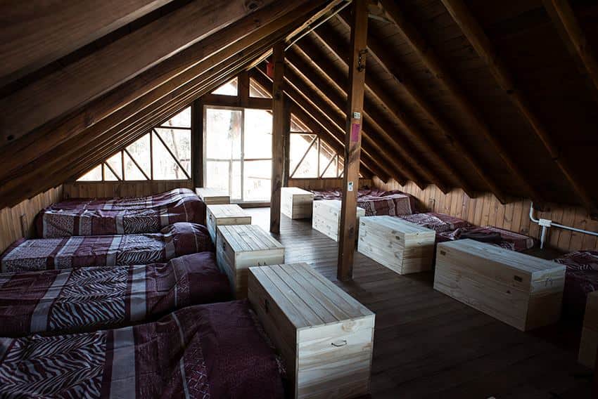 Naturalistas Aventura 8