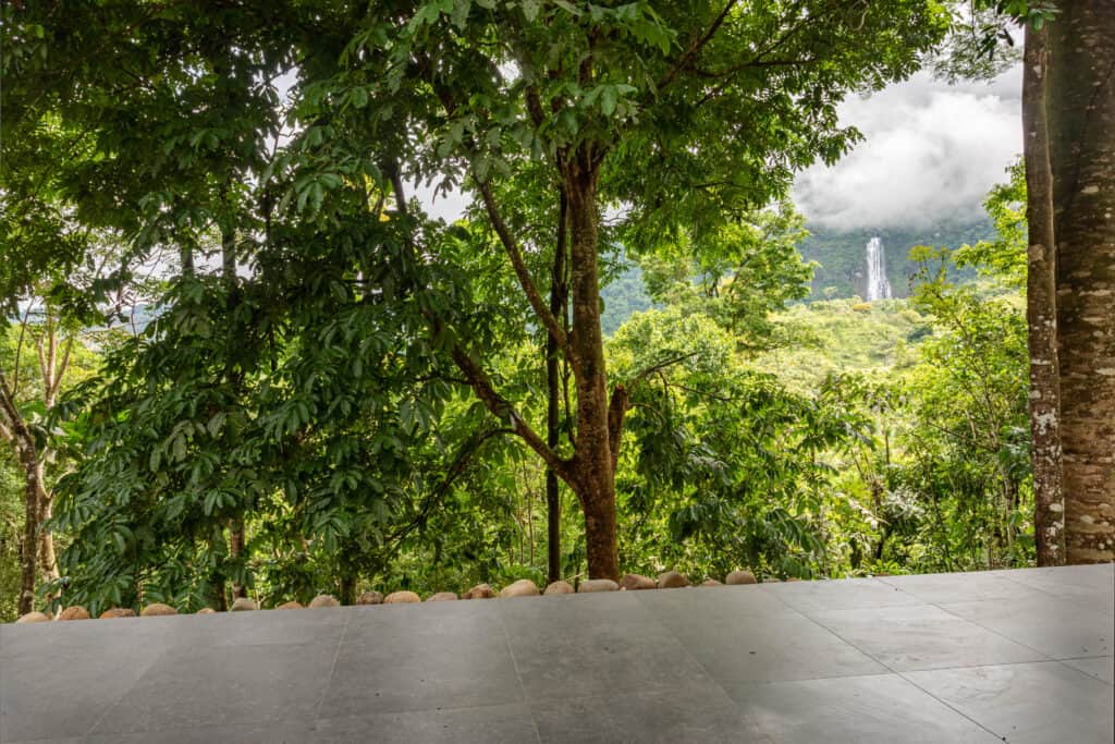 Pura Vida Wellbeing Retreats 6