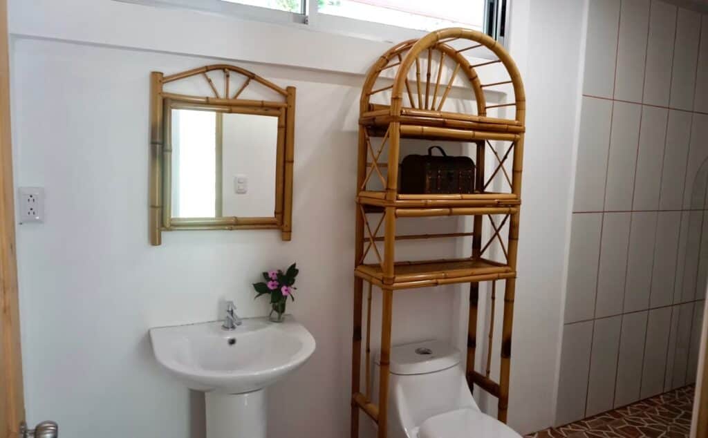 Embodying Nature's Wisdom 2