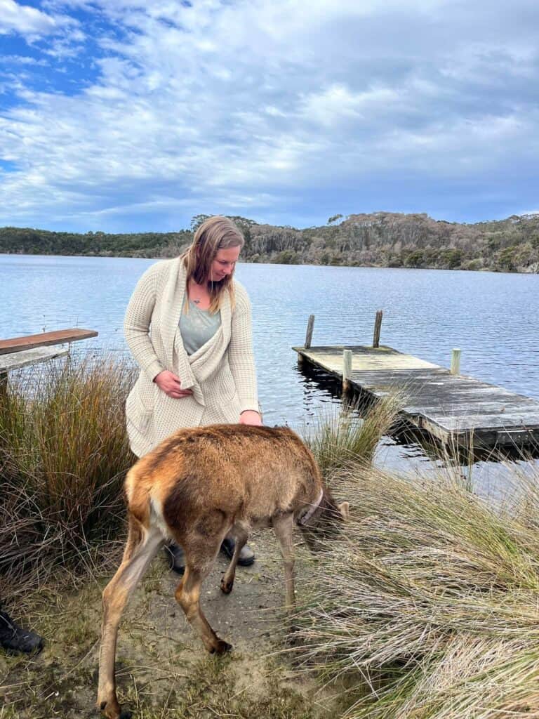 Mohanji Centre of Benevolence Australia 6