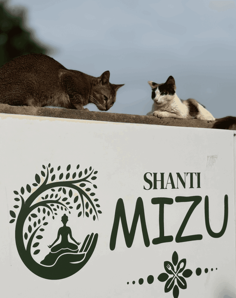 SHANTI MIZU 8