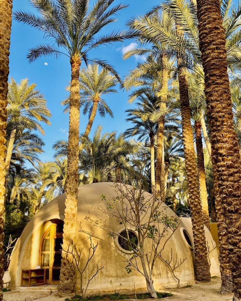 Inner Oasis Retreats 3