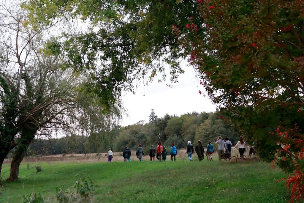 Lacademie La Voie Du Sage 7