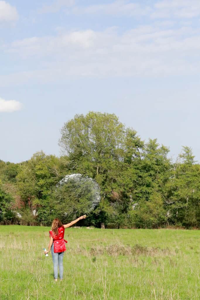 Lacademie La Voie Du Sage 8