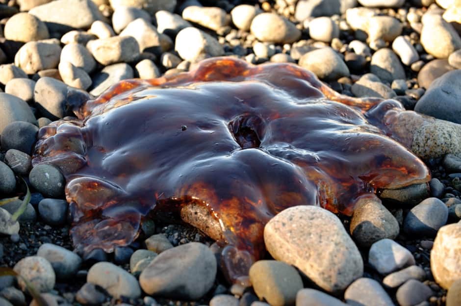 Fresh Start Health Retreat 5