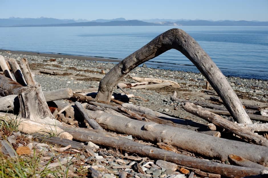 Fresh Start Health Retreat 6