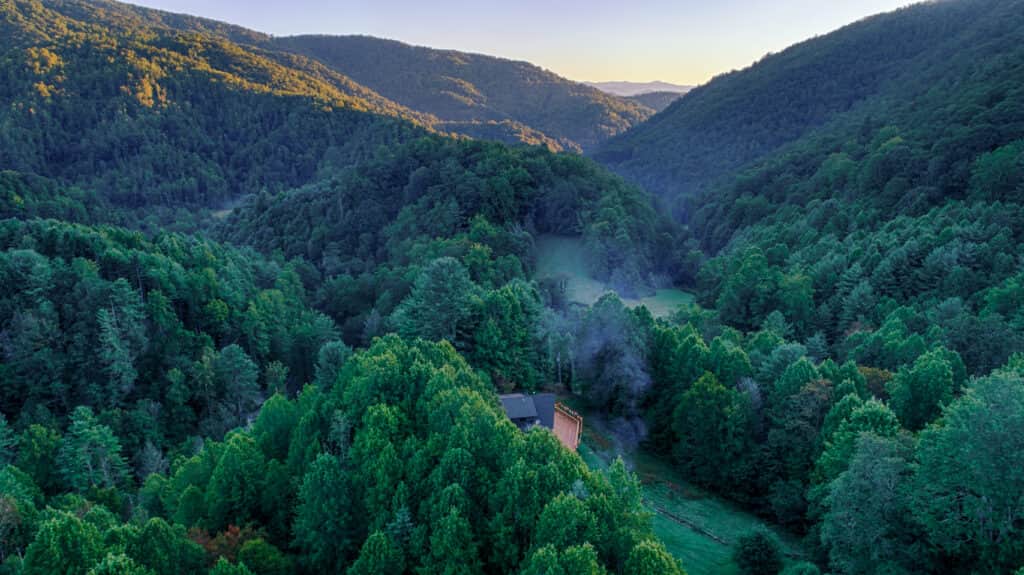 Divine Nectar Botanicals 1