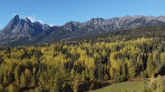 Enochian Accoutrements 7