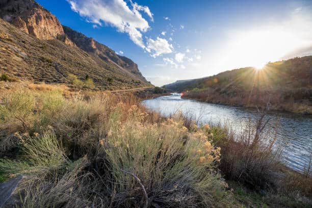 Golden Willow Retreat 6