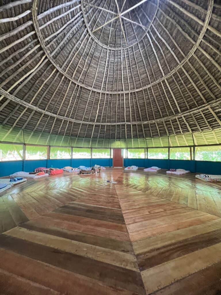 Inca Shipiba Ayahuasca 8