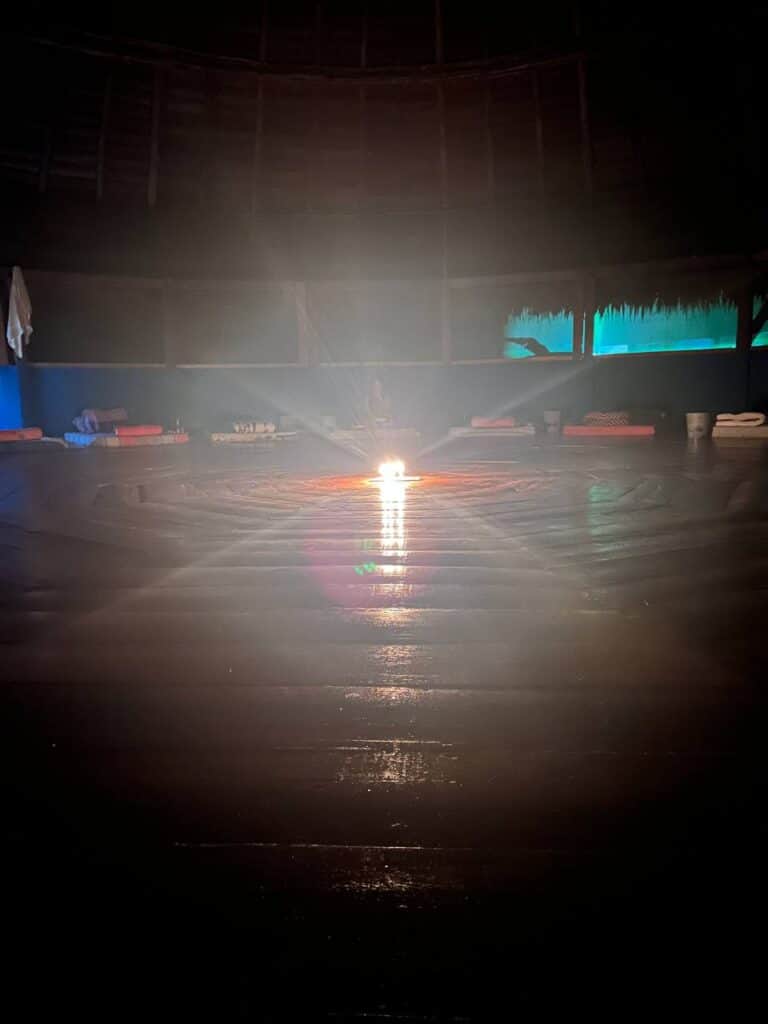 Inca Shipiba Ayahuasca 5