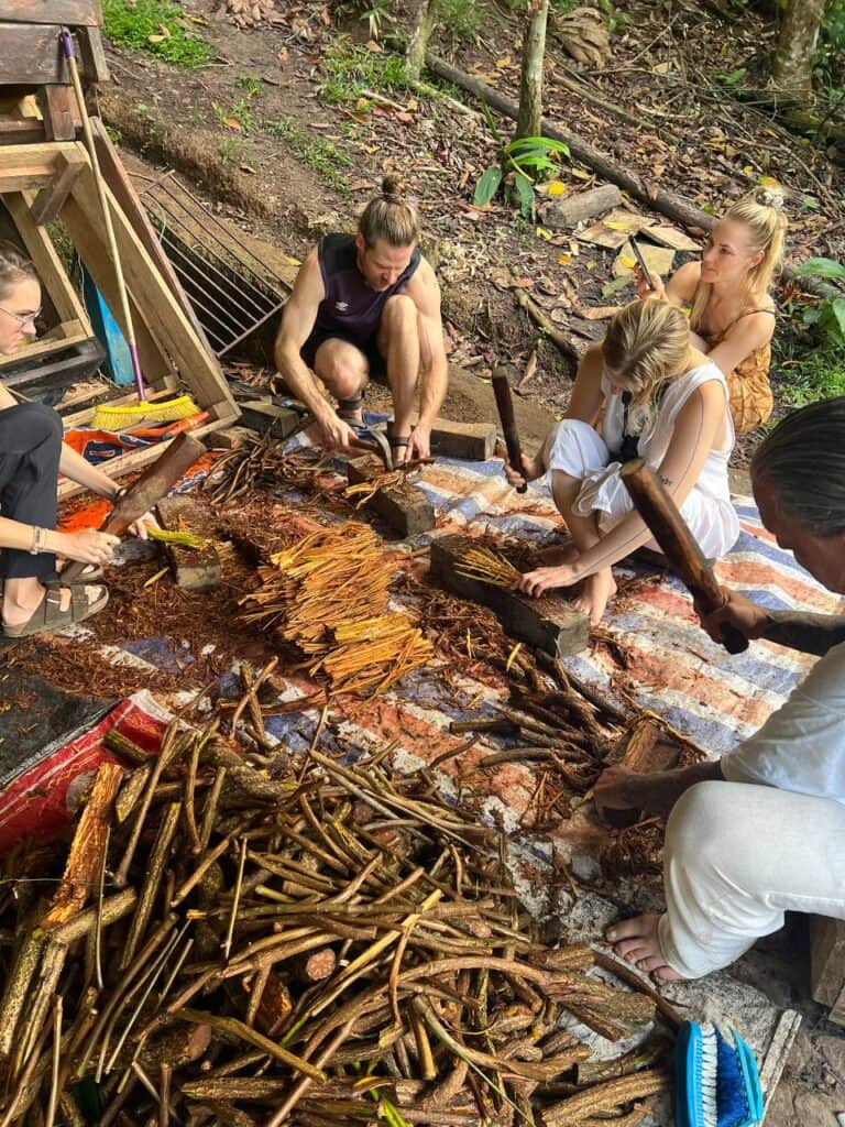 Inca Shipiba Ayahuasca 4