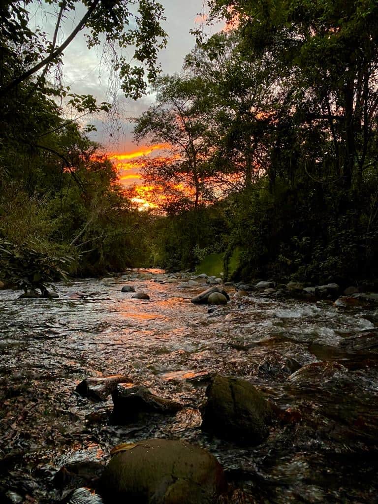 Inti Wasi Jaguar Retreat Center 3