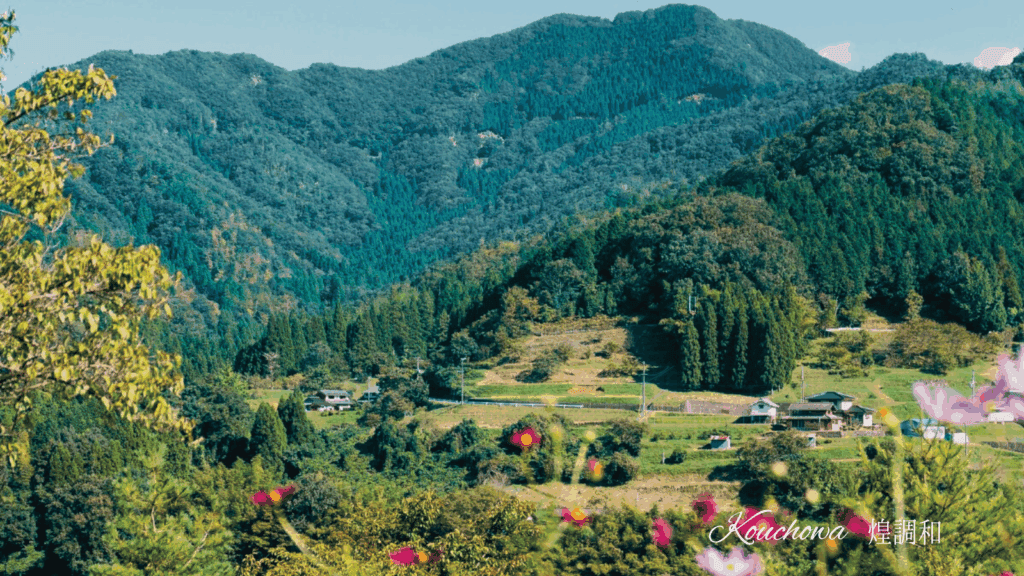 Kouchowa | Kirameki Harmony 4