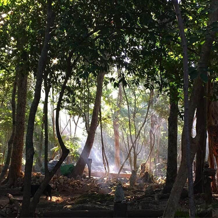 One Breath of Yoga Ashram 3