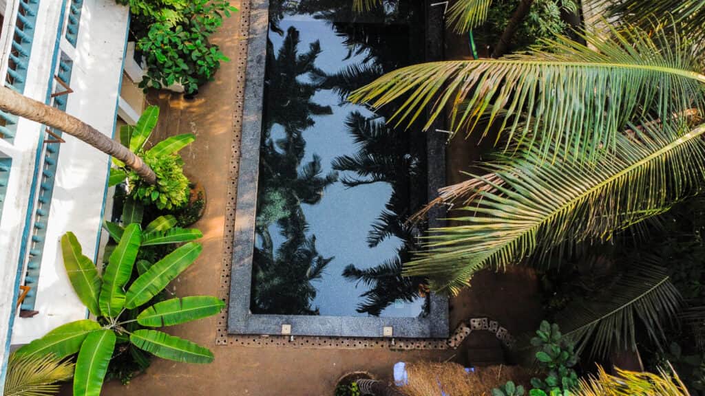 Yellow Souls Studio 4