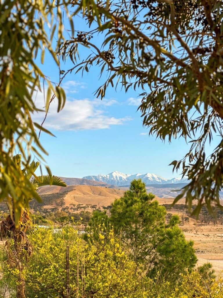 KunFayaKun Wellness 1