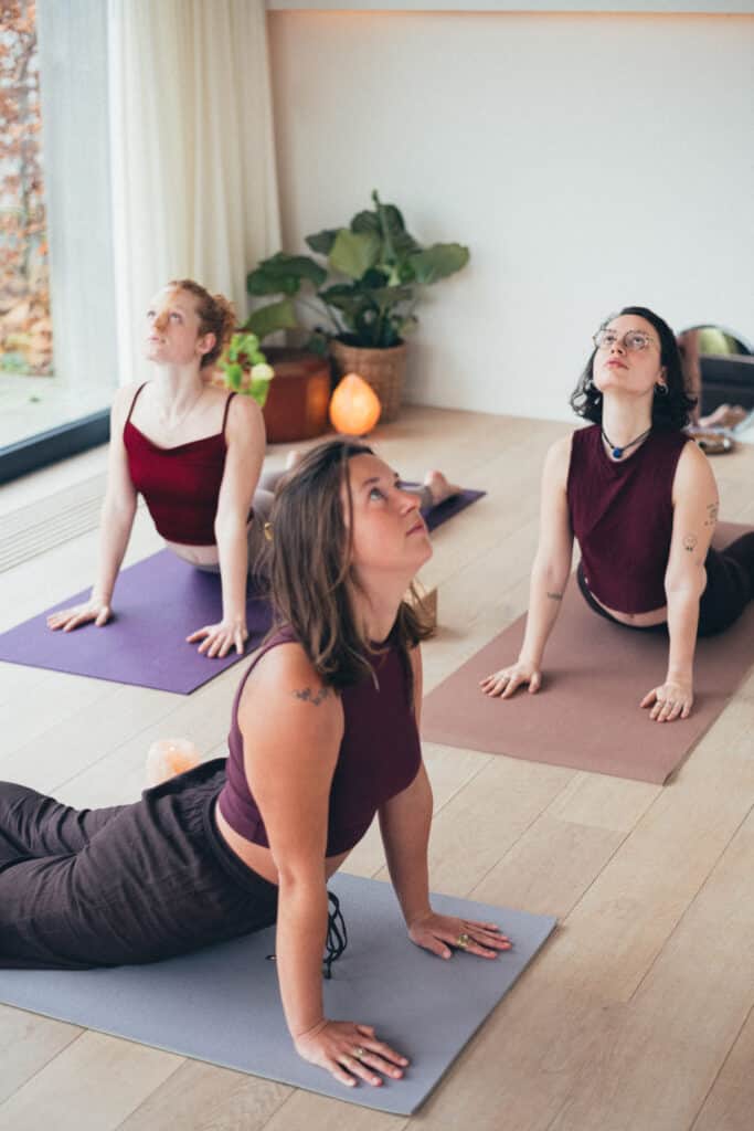 Holistic Psychologist 6