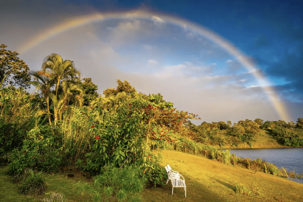 Embracing Your Light LA 7