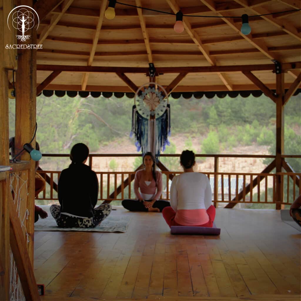 SacredsTree Organization 2