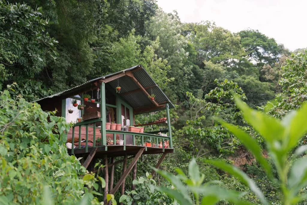 Mystical Yoga Farm 6