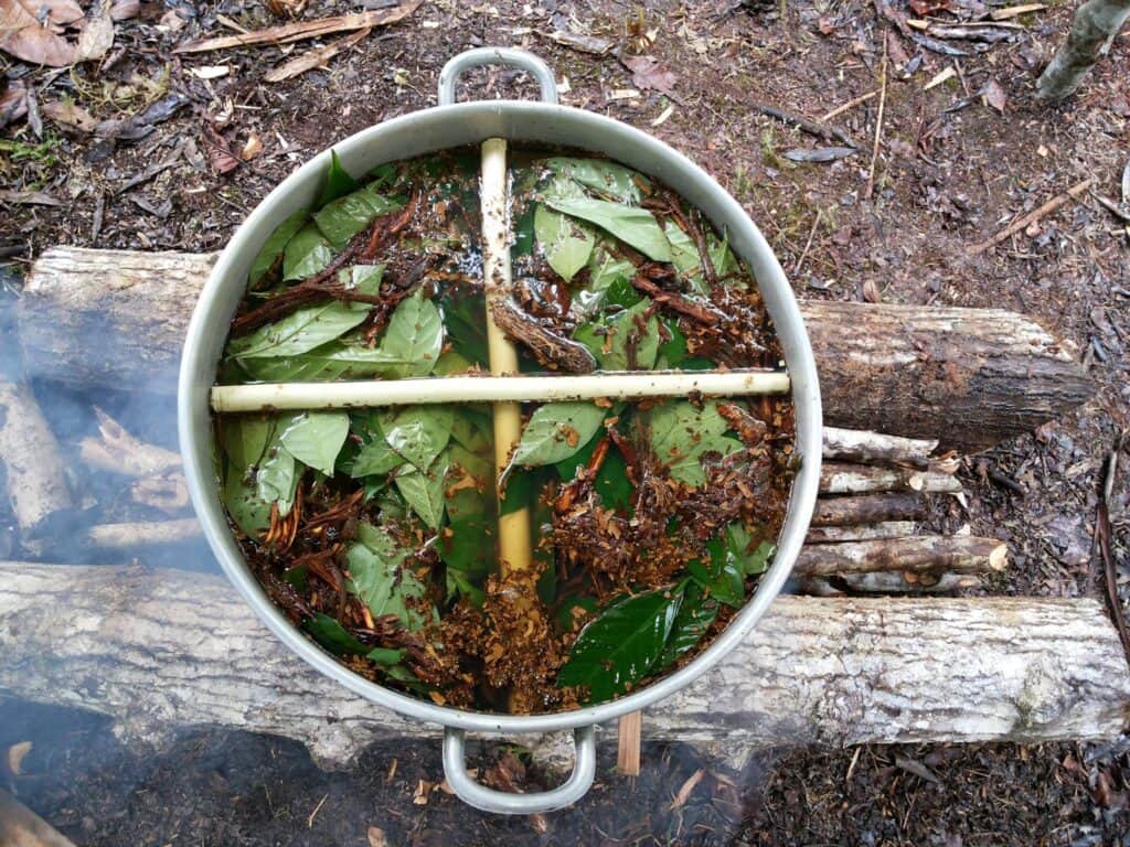 Avatar Ayahuasca Center 2