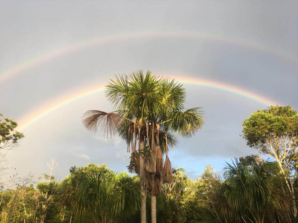 Avatar Ayahuasca Center 3