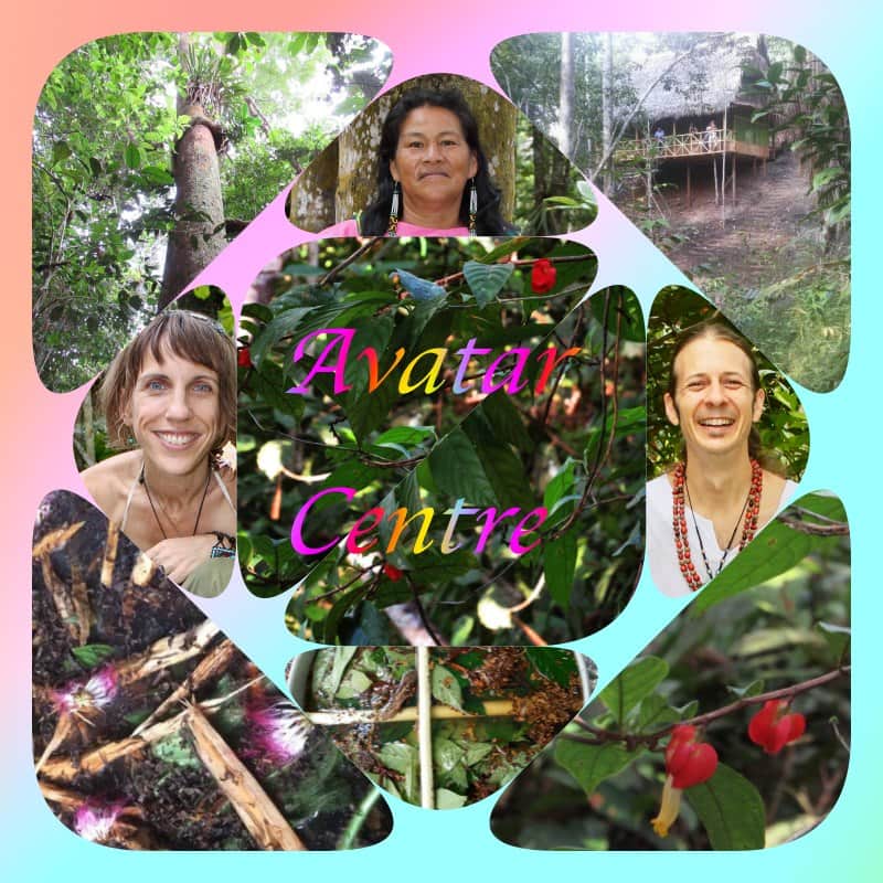 Avatar Ayahuasca Center 8