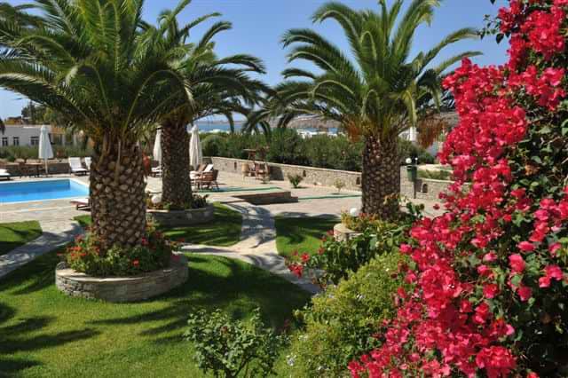 Harmony & Creativity 6