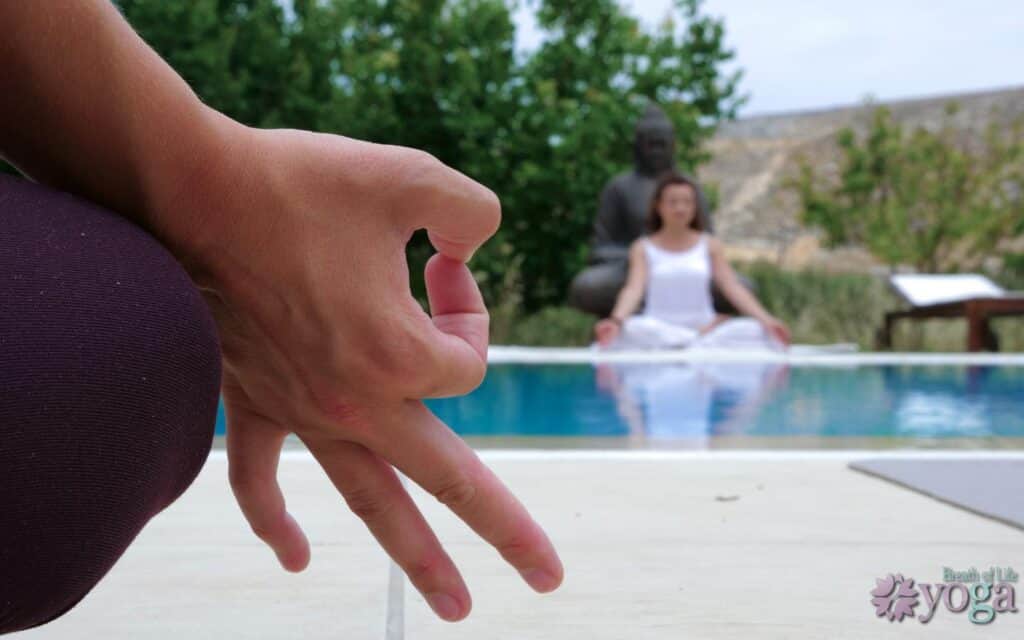 Breath of Life Yoga Center 8