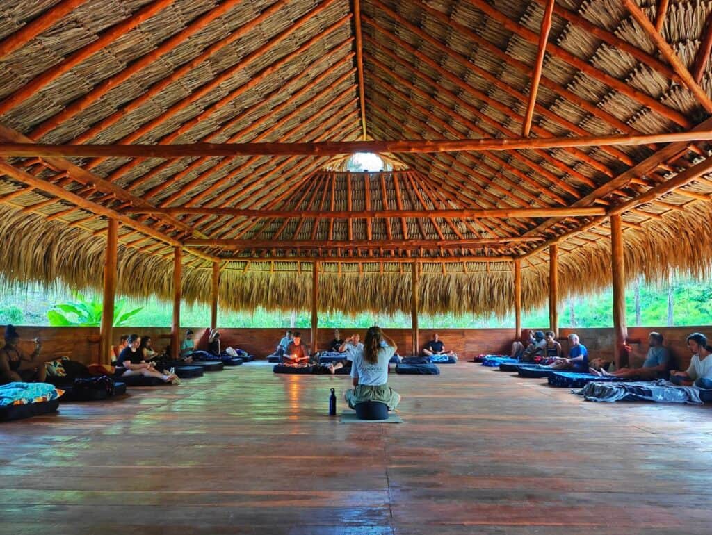 Lawayra (Ayahuasca in Colombia) 7