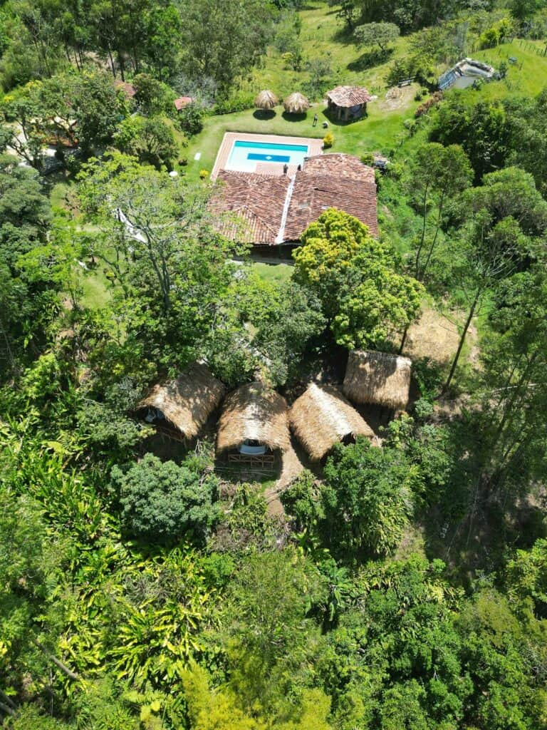 Lawayra (Ayahuasca in Colombia) 8