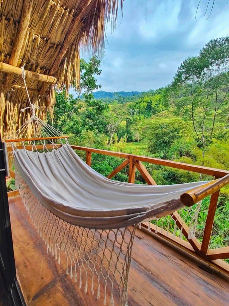 Lawayra (Ayahuasca in Colombia) 5